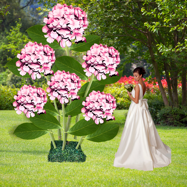 Hortensia gigante de pie: revelando el esplendor de las variedades de hortensias gigantes 