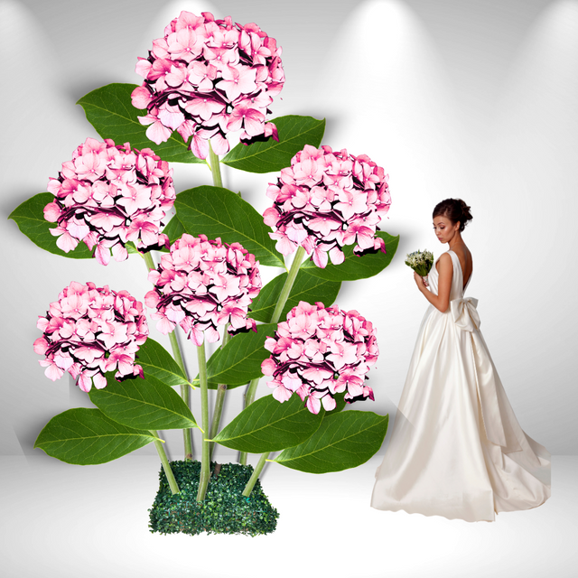 Hortensia gigante de pie: revelando el esplendor de las variedades de hortensias gigantes 