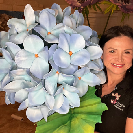 Giant Hydrangea