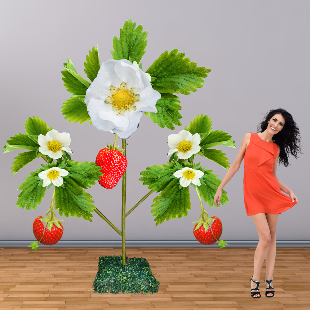 Giant Strawberry Flower -Agricultural Flower Dislays