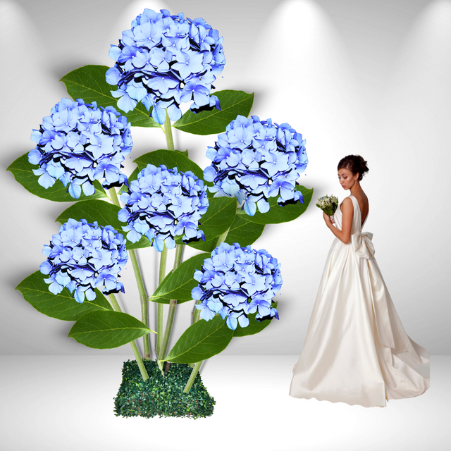 Hortensia gigante de pie: revelando el esplendor de las variedades de hortensias gigantes 