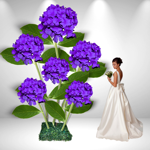 Hortensia gigante de pie: revelando el esplendor de las variedades de hortensias gigantes 