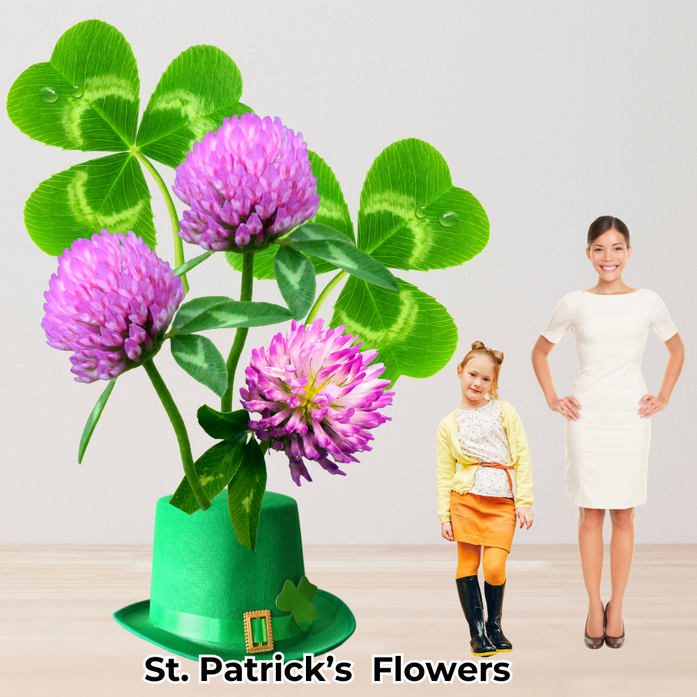 St. Patricks Giant Flower