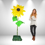 "Girasol gigante | Esplendor soleado para eventos vibrantes y decoración alegre" 