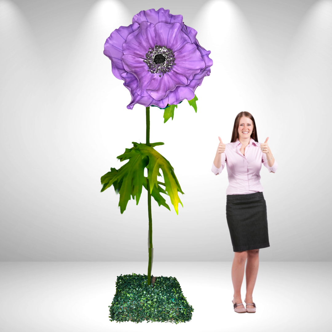 Giant Standing Anemone Flowers