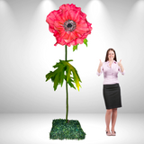 Giant Standing Anemone Flowers