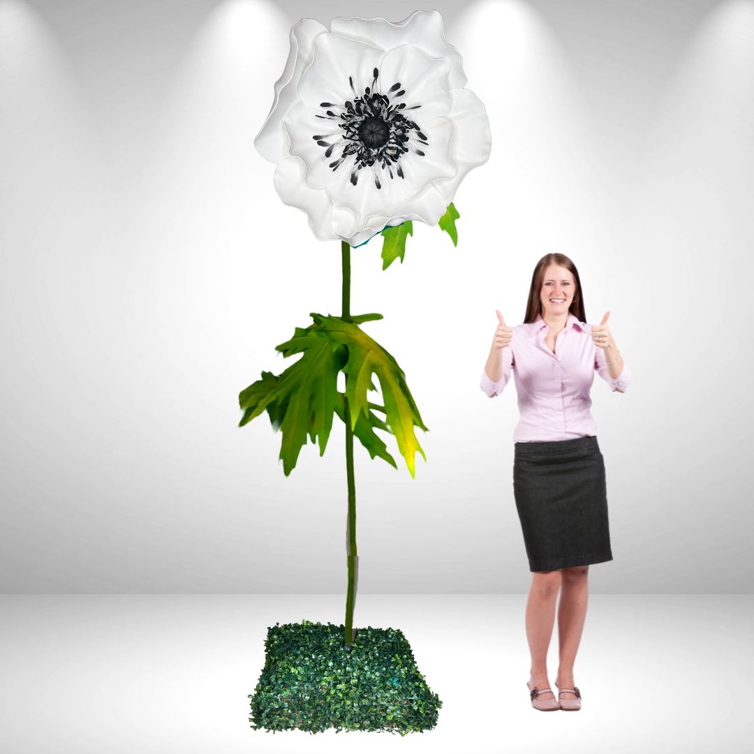 Giant Standing Anemone Flowers