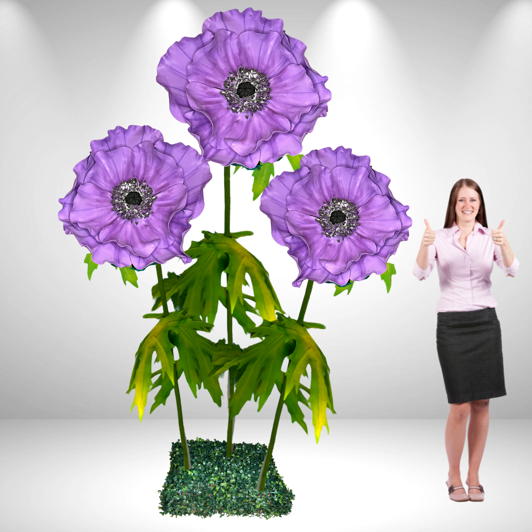 Giant Standing Anemone Flowers