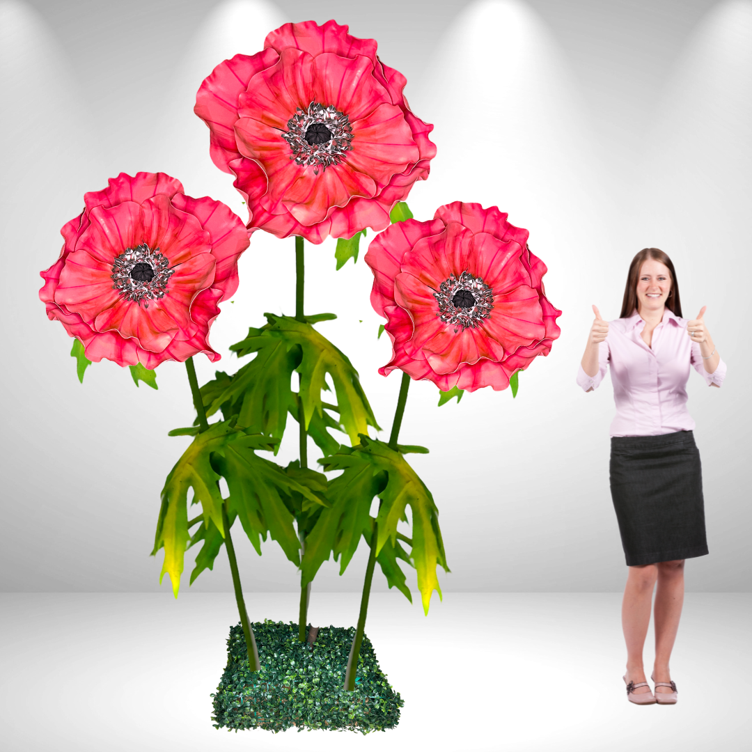 Giant Standing Anemone Flowers