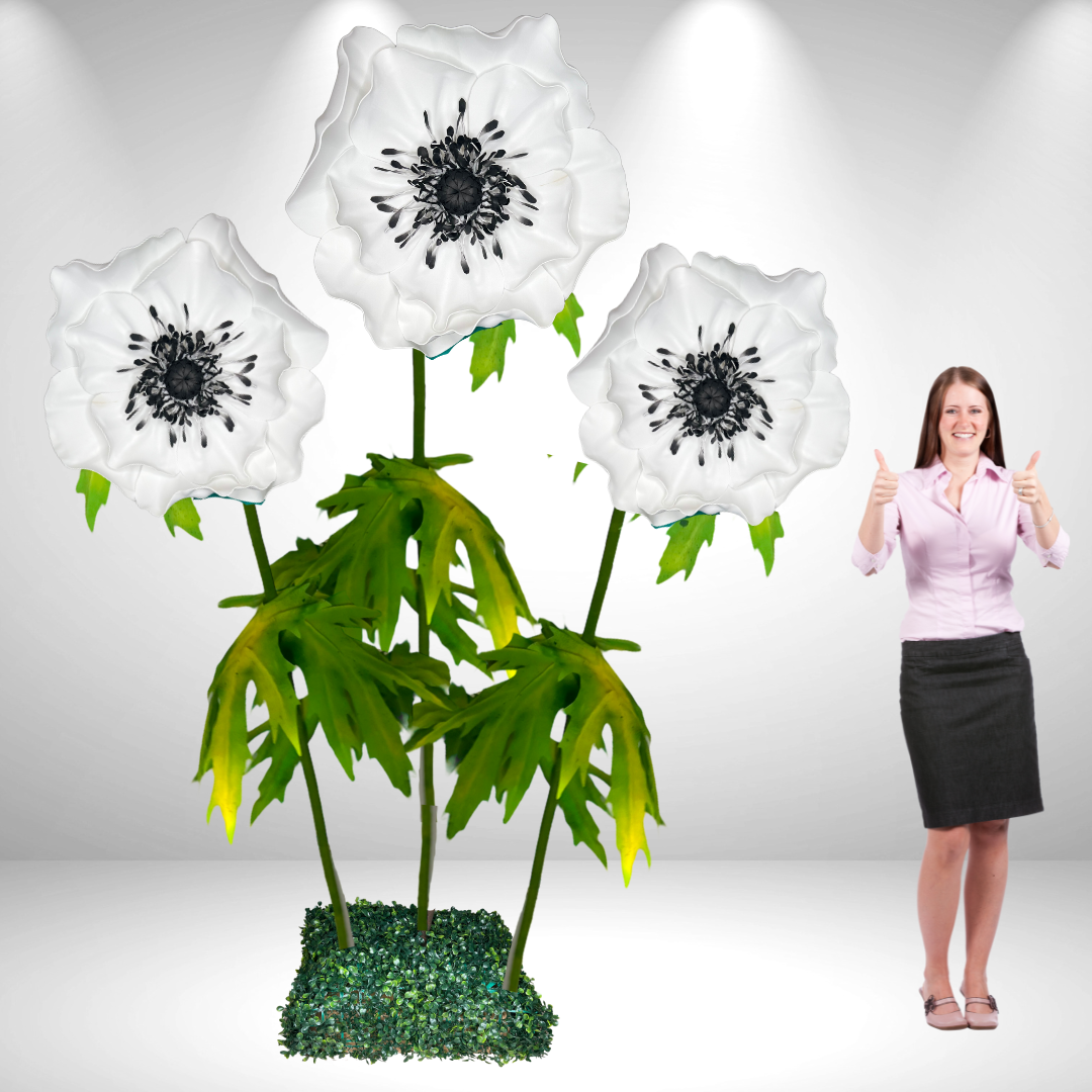 Giant Standing Anemone Flowers