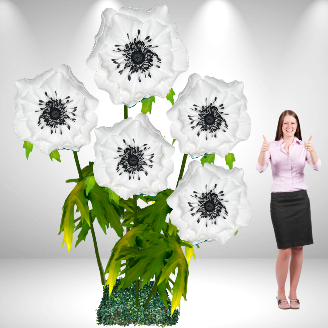 Giant Standing Anemone Flowers