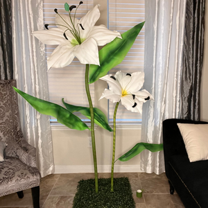 Giant Water Lily- Lily Flowers Arrangements for Decor