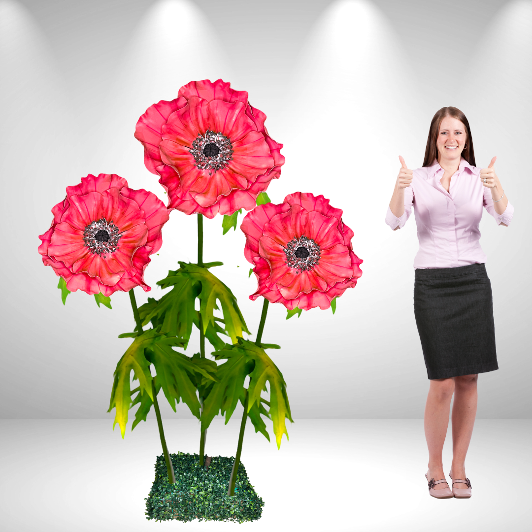 Giant Standing Anemone Flowers