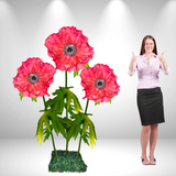 Giant Standing Anemone Flowers