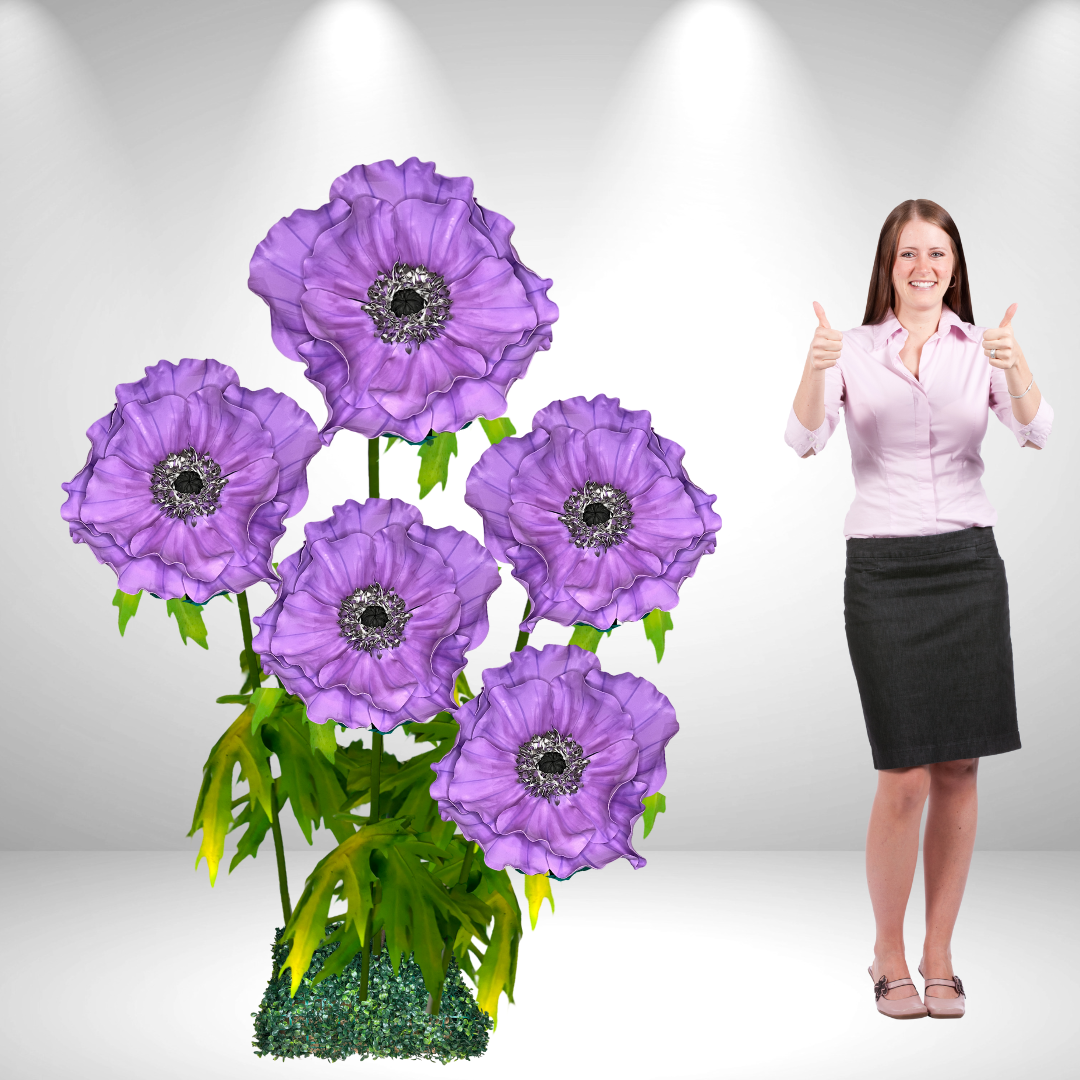 Giant Standing Anemone Flowers