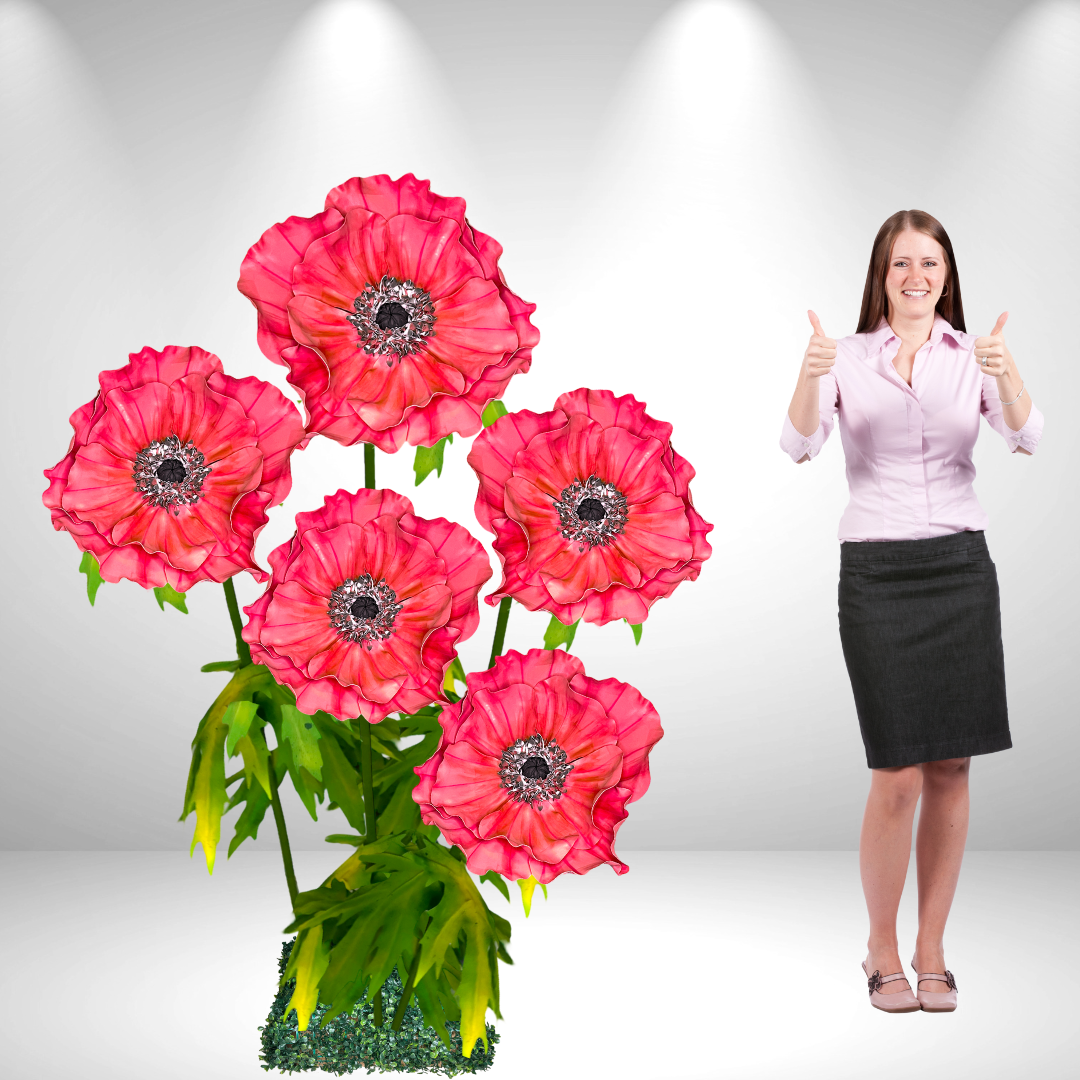 Giant Standing Anemone Flowers