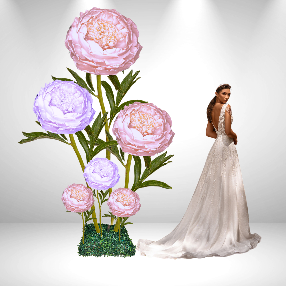 Peony Perfection Set