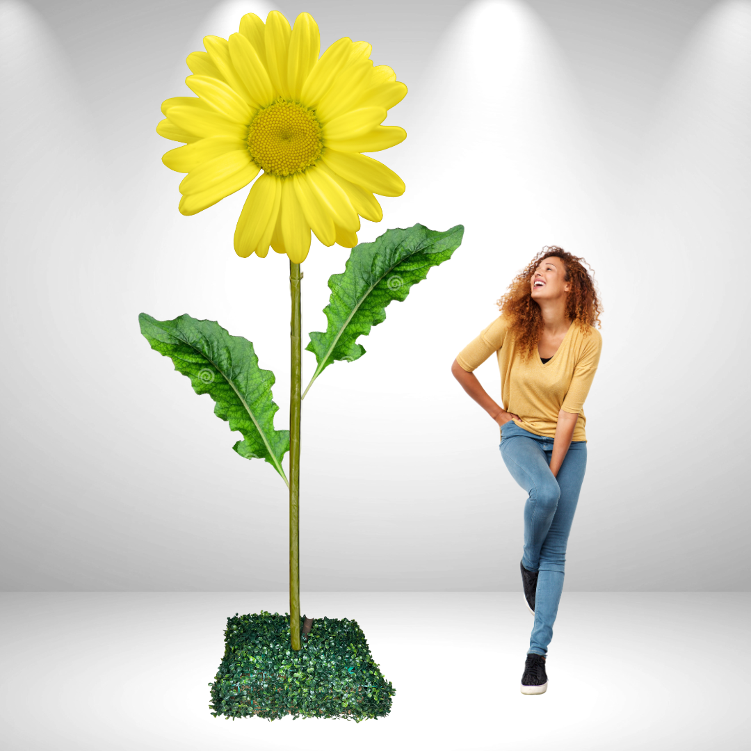 Giant Bouquet of Daisies