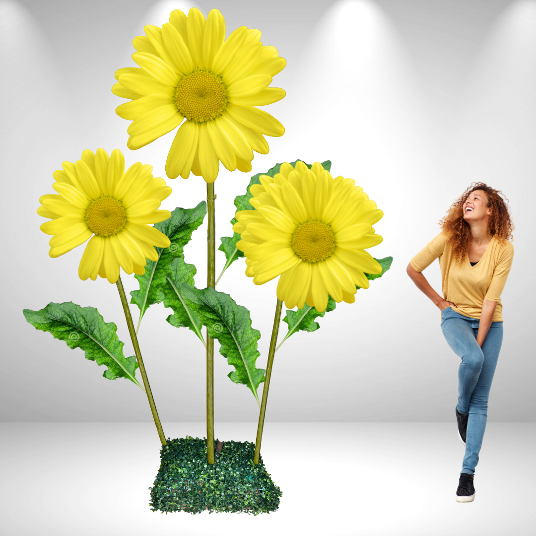 Giant Bouquet of Daisies