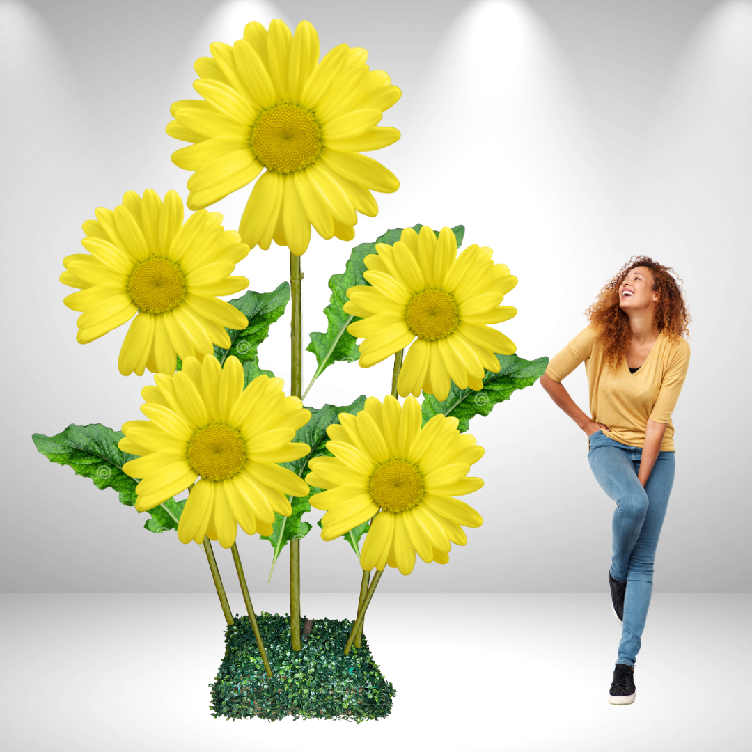 Giant Bouquet of Daisies