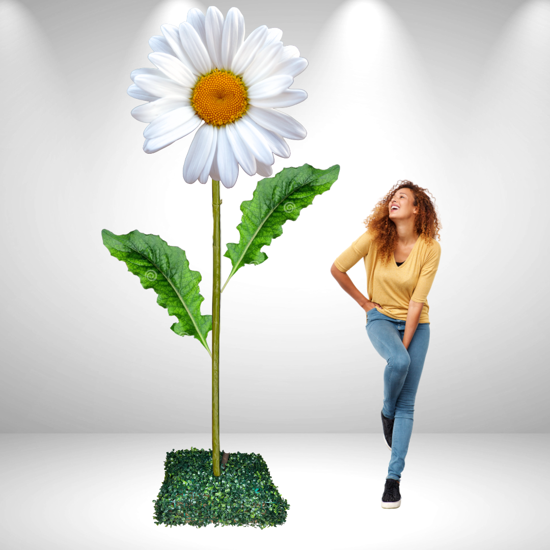 Giant Bouquet of Daisies