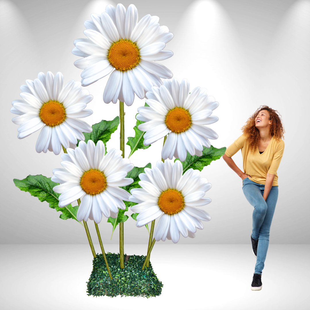 Giant Bouquet of Daisies