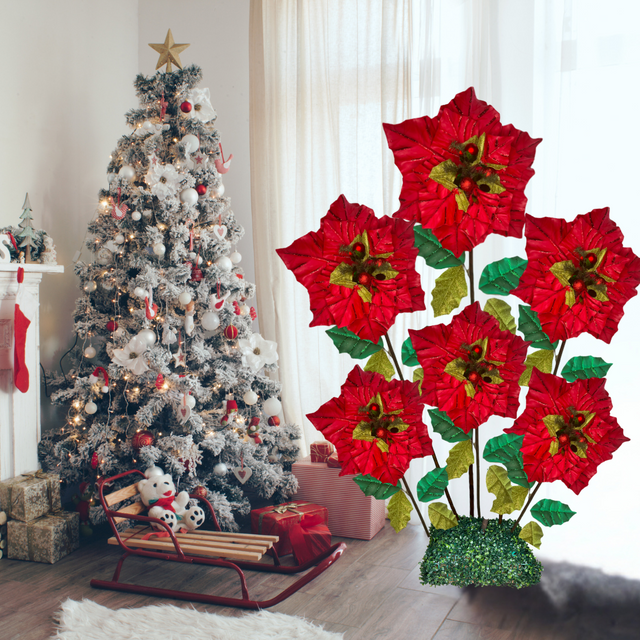 Riesige stehende Weihnachtssternblume 