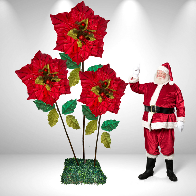 Riesige stehende Weihnachtssternblume 