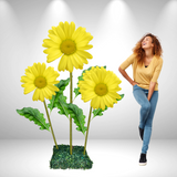 Giant Bouquet of Daisies