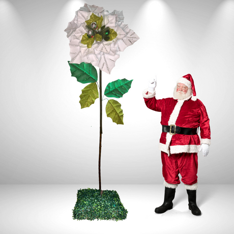 Riesige stehende Weihnachtssternblume 