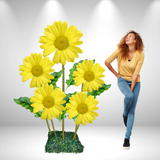 Giant Bouquet of Daisies