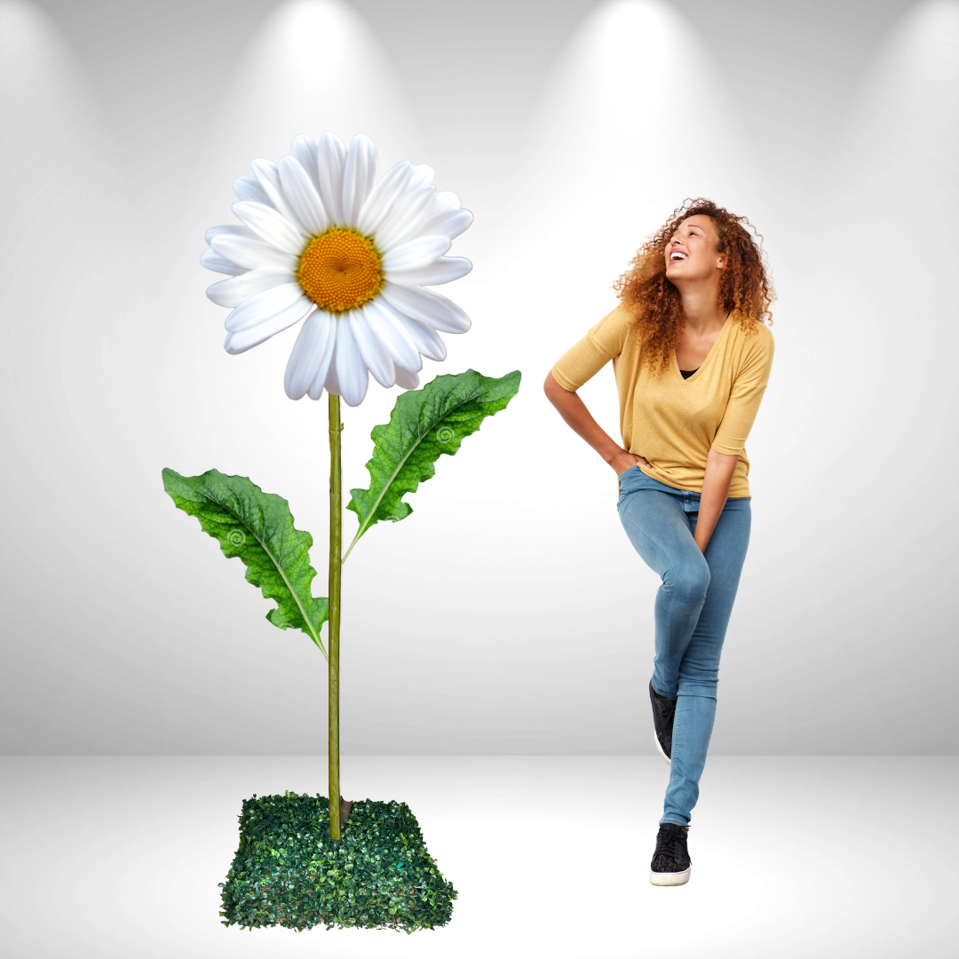 Giant Bouquet of Daisies