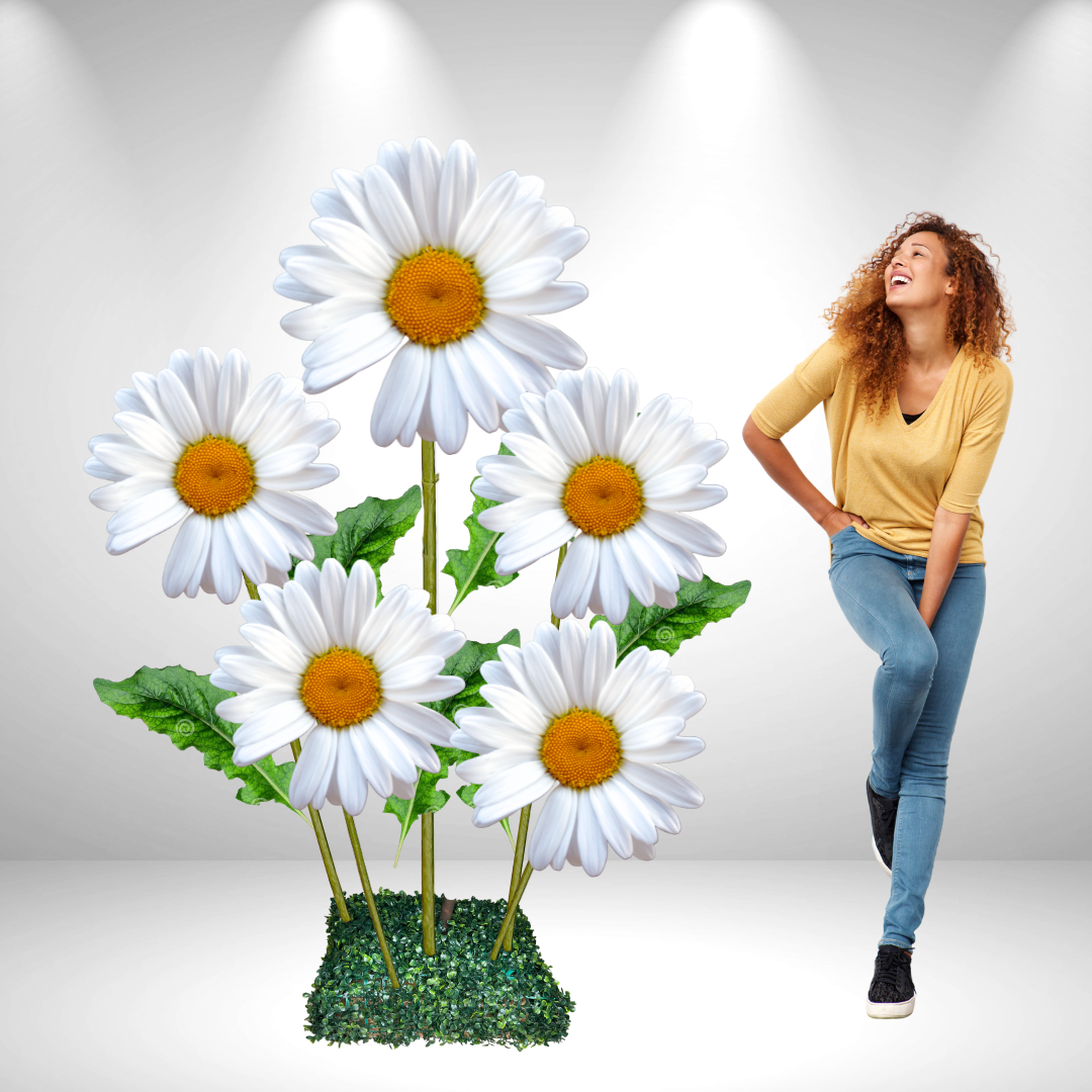 Giant Bouquet of Daisies