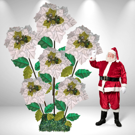 Riesige stehende Weihnachtssternblume 