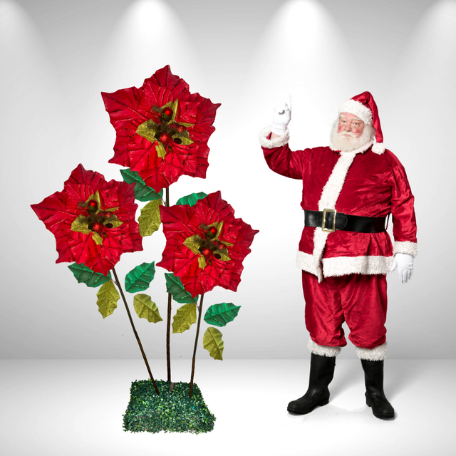 Riesige stehende Weihnachtssternblume 