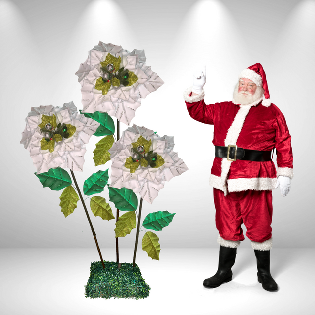 Riesige stehende Weihnachtssternblume 