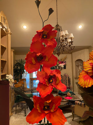 Discover the Exquisite Beauty of Orange Orchids