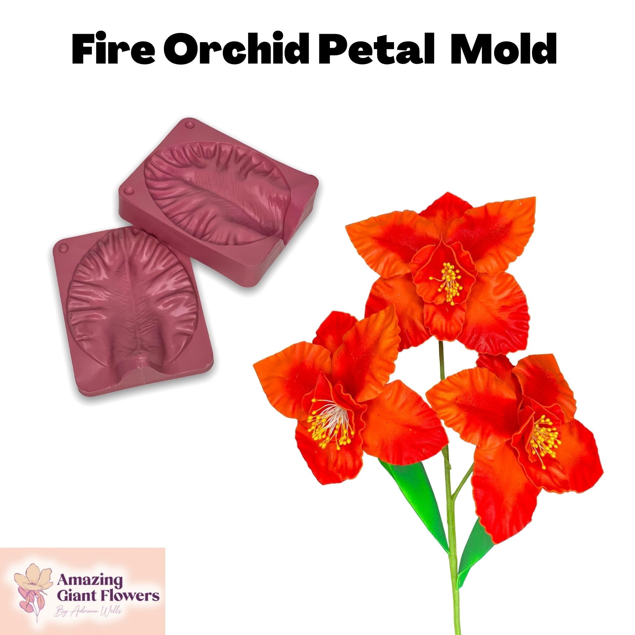 Fire Orchid Petal Mold - Create Floral Artistry