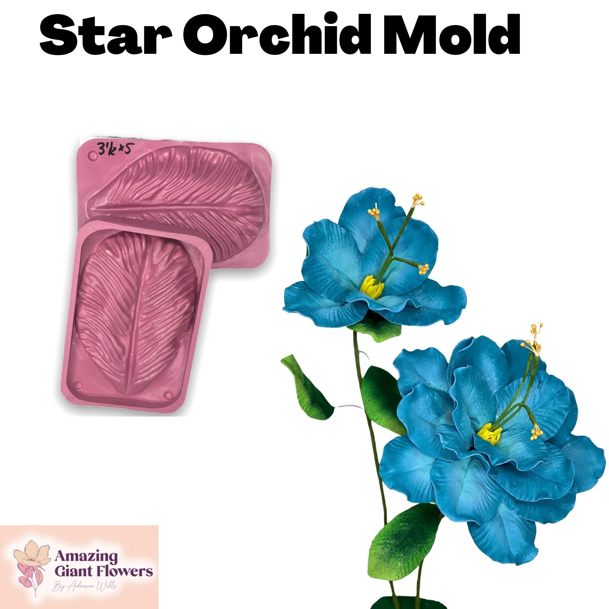 Star of Jerusalem Petal Mold - Embrace Floral Beauty