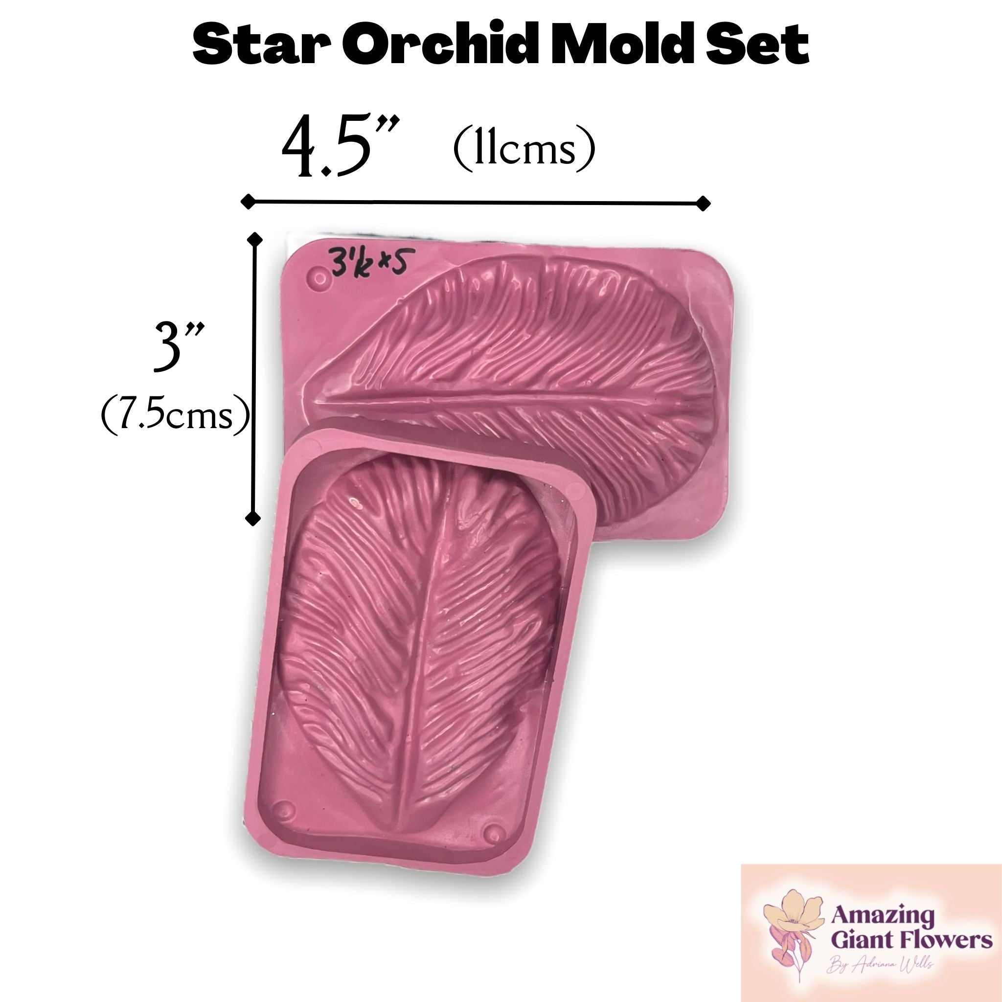 Star of Jerusalem Petal Mold - Embrace Floral Beauty